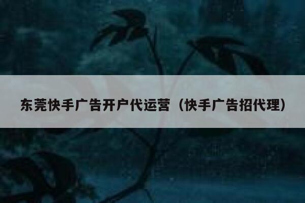 东莞快手广告开户代运营（快手广告招代理）