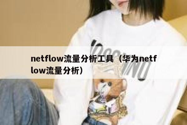 netflow流量分析工具（华为netflow流量分析）