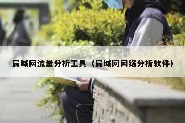 局域网流量分析工具（局域网网络分析软件）