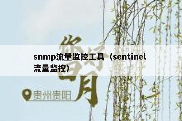 snmp流量监控工具（sentinel 流量监控）