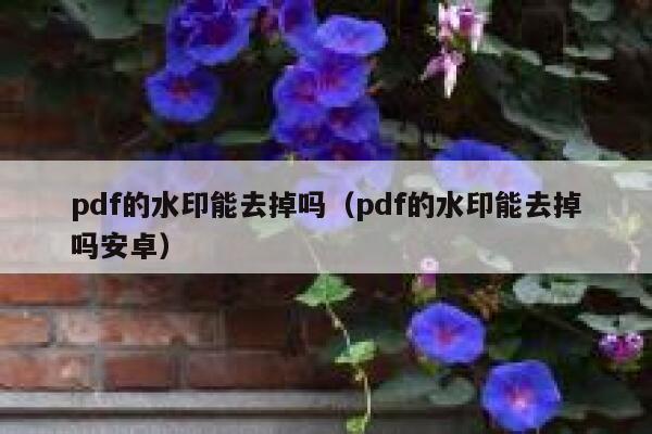 pdf的水印能去掉吗（pdf的水印能去掉吗安卓）