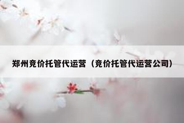 郑州竞价托管代运营（竞价托管代运营公司）