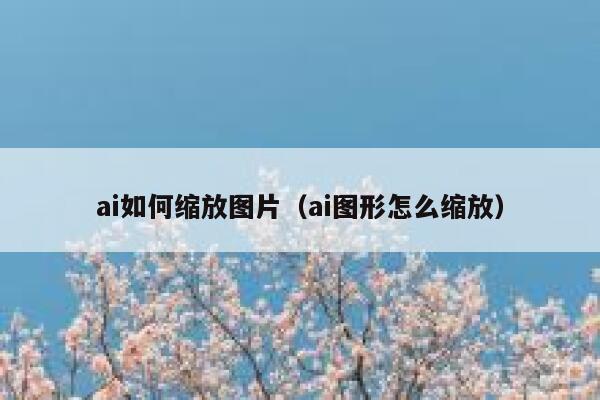 ai如何缩放图片（ai图形怎么缩放）