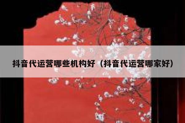 抖音代运营哪些机构好（抖音代运营哪家好）