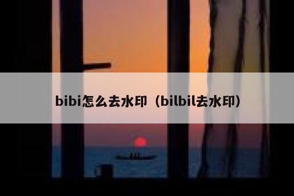 bibi怎么去水印（bilbil去水印）