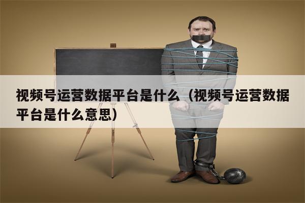 视频号运营数据平台是什么（视频号运营数据平台是什么意思）