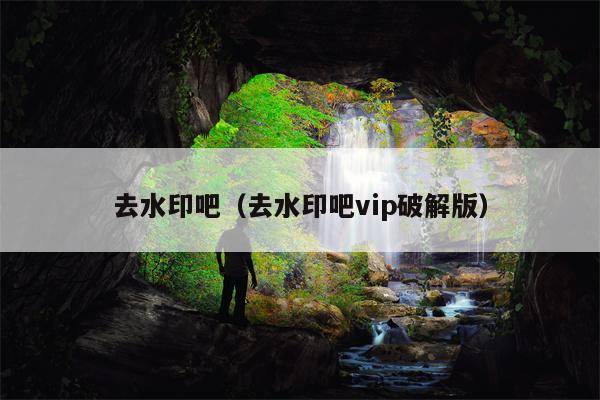 去水印吧（去水印吧vip破解版）