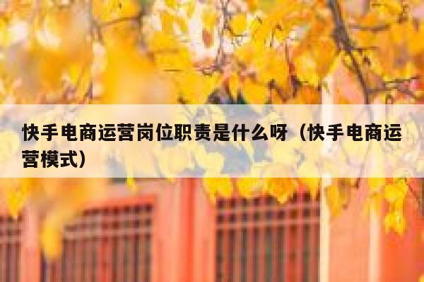 快手电商运营岗位职责是什么呀（快手电商运营模式）