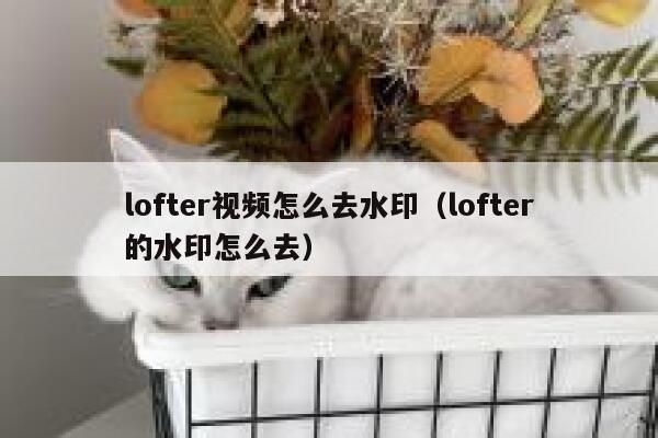 lofter视频怎么去水印（lofter的水印怎么去）