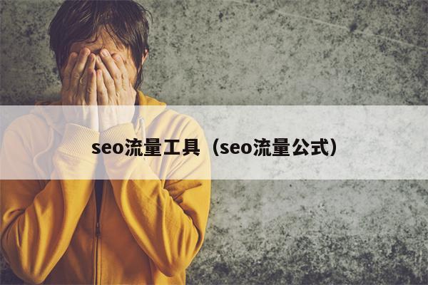 seo流量工具（seo流量公式）