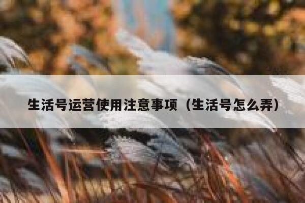 生活号运营使用注意事项（生活号怎么弄）