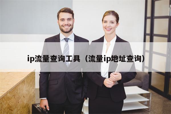 ip流量查询工具（流量ip地址查询）