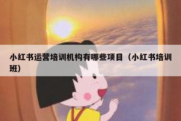 小红书运营培训机构有哪些项目（小红书培训班）