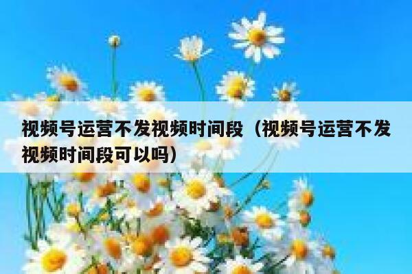 视频号运营不发视频时间段（视频号运营不发视频时间段可以吗）