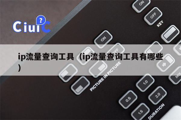 ip流量查询工具（ip流量查询工具有哪些）