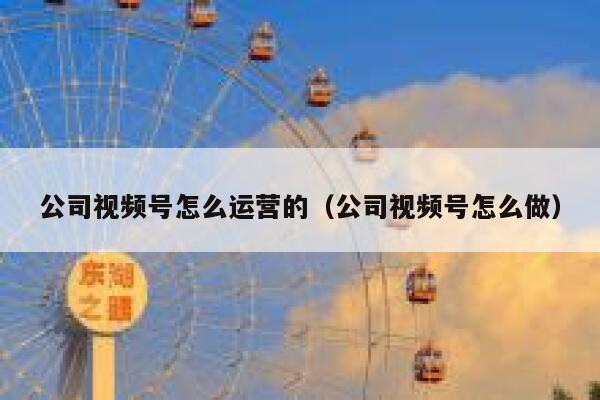 公司视频号怎么运营的（公司视频号怎么做）