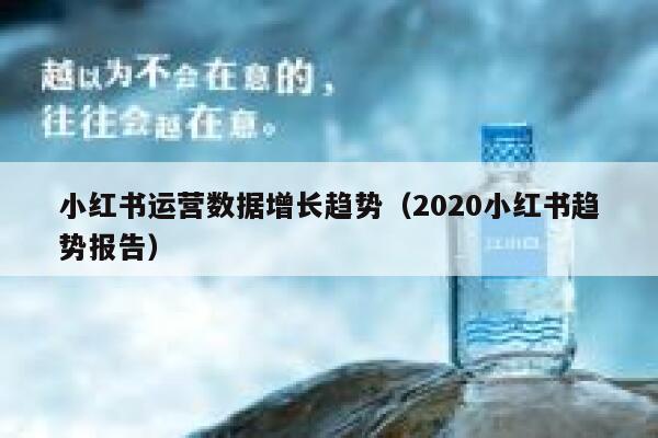 小红书运营数据增长趋势（2020小红书趋势报告）