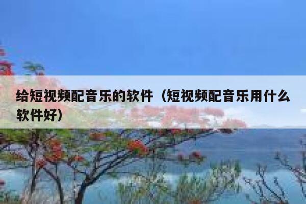 给短视频配音乐的软件（短视频配音乐用什么软件好）