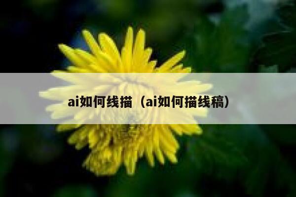 ai如何线描（ai如何描线稿）