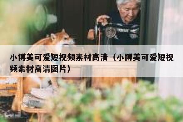 小博美可爱短视频素材高清（小博美可爱短视频素材高清图片）