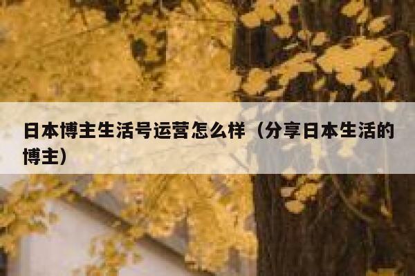 日本博主生活号运营怎么样（分享日本生活的博主）