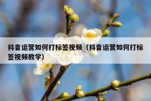 抖音运营如何打标签视频（抖音运营如何打标签视频教学）