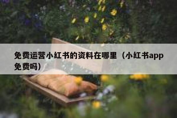 免费运营小红书的资料在哪里（小红书app免费吗）