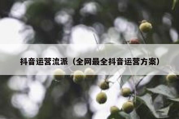 抖音运营流派（全网最全抖音运营方案）