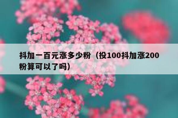 抖加一百元涨多少粉（投100抖加涨200粉算可以了吗）