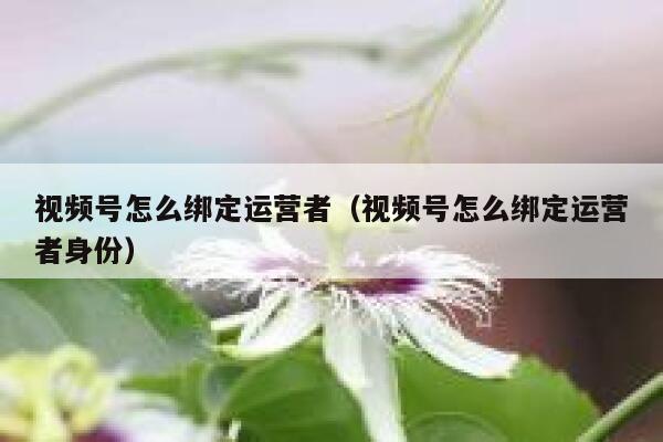 视频号怎么绑定运营者（视频号怎么绑定运营者身份）