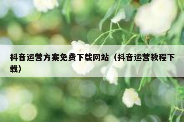 抖音运营方案免费下载网站（抖音运营教程下载）