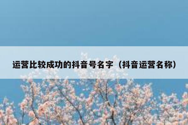 运营比较成功的抖音号名字（抖音运营名称）