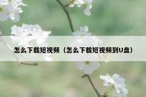 怎么下载短视频（怎么下载短视频到U盘）