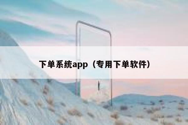 下单系统app（专用下单软件）