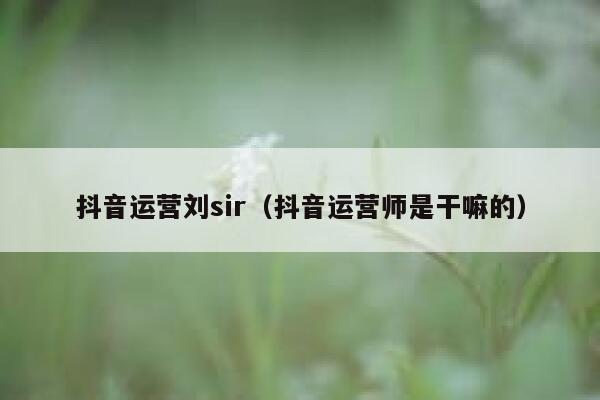 抖音运营刘sir（抖音运营师是干嘛的）