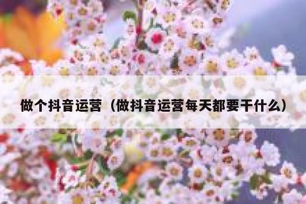 做个抖音运营（做抖音运营每天都要干什么）