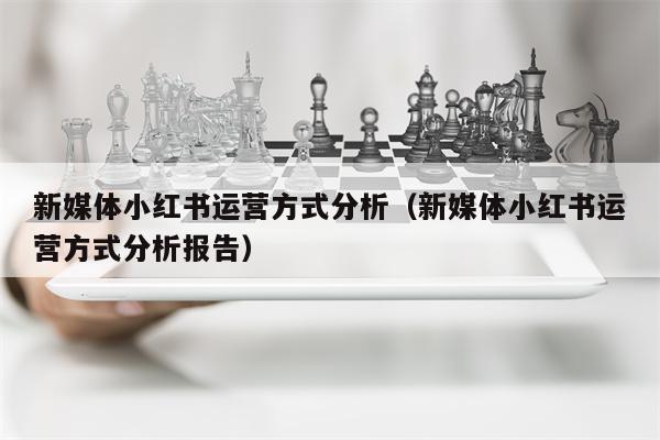 新媒体小红书运营方式分析（新媒体小红书运营方式分析报告）