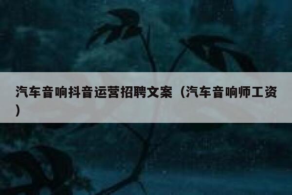 汽车音响抖音运营招聘文案（汽车音响师工资）