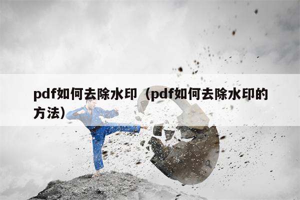 pdf如何去除水印（pdf如何去除水印的方法）