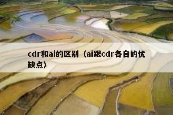 cdr和ai的区别（ai跟cdr各自的优缺点）