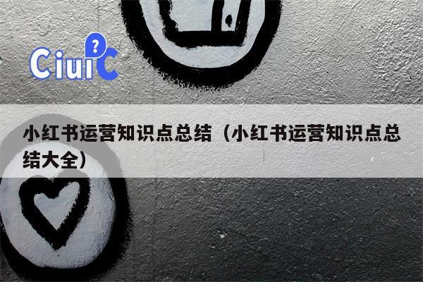 小红书运营知识点总结（小红书运营知识点总结大全）