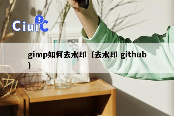 gimp如何去水印（去水印 github）