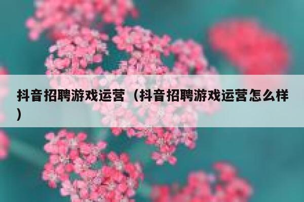 抖音招聘游戏运营（抖音招聘游戏运营怎么样）