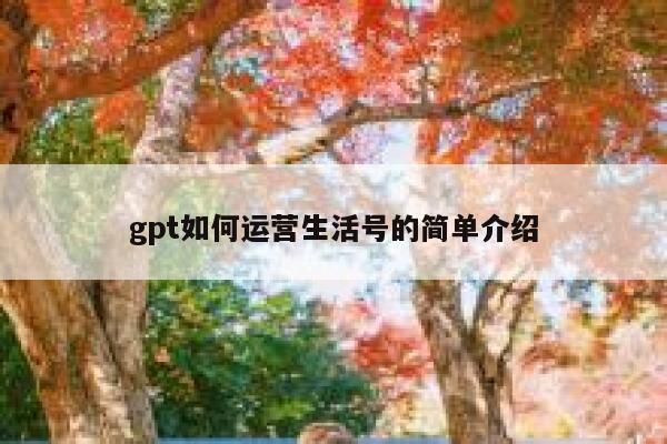 gpt如何运营生活号的简单介绍