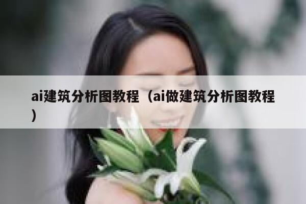 ai建筑分析图教程（ai做建筑分析图教程）