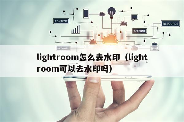 lightroom怎么去水印（lightroom可以去水印吗）