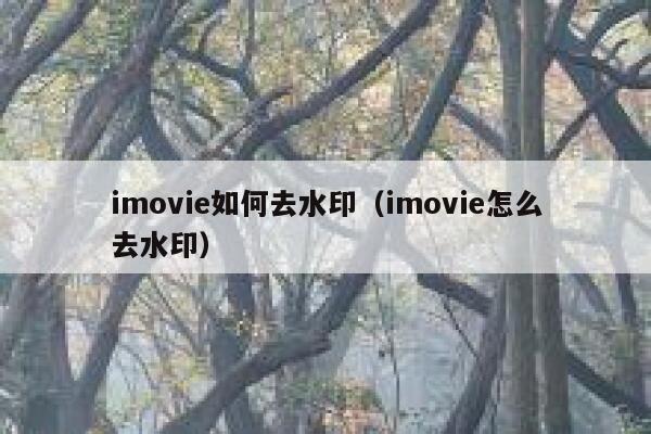 imovie如何去水印（imovie怎么去水印）