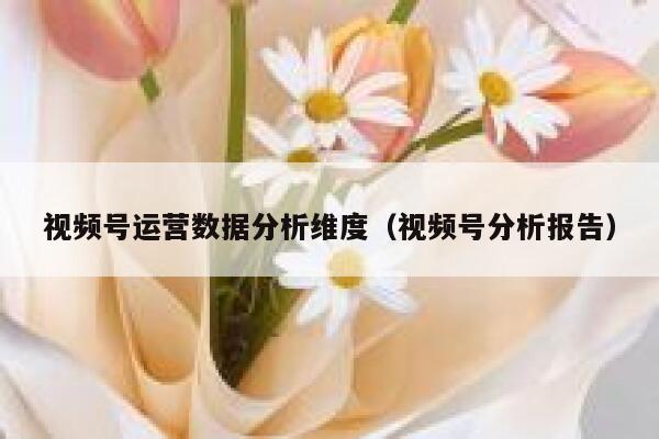 视频号运营数据分析维度（视频号分析报告）