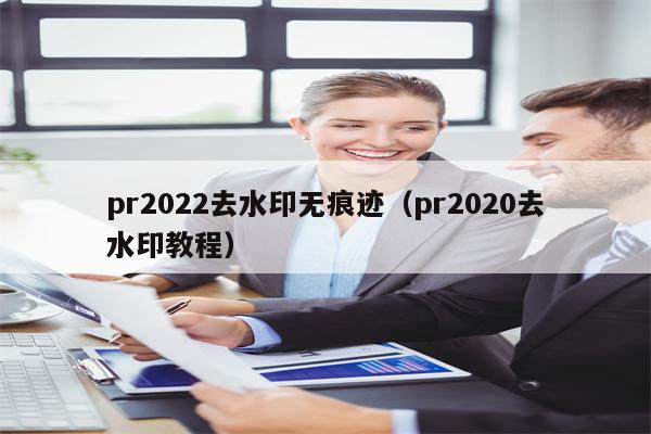 pr2022去水印无痕迹（pr2020去水印教程）