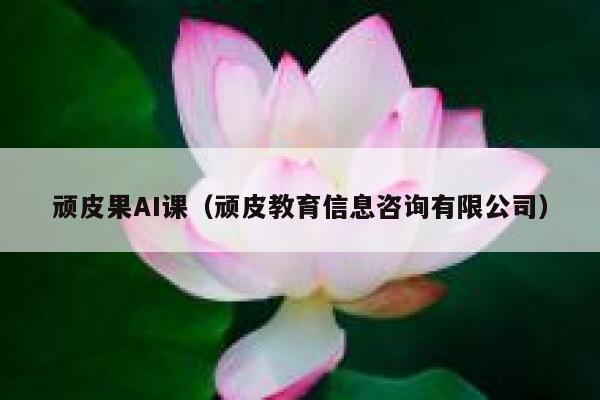 顽皮果AI课（顽皮教育信息咨询有限公司）